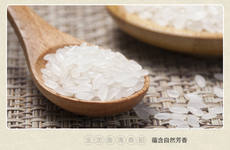 金龙鱼清香稻长粒香米5kg
