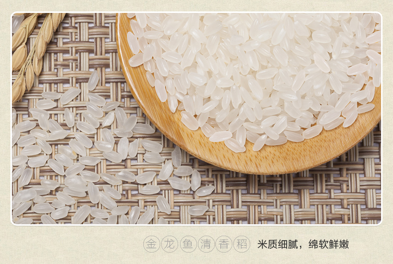 金龙鱼清香稻长粒香米5kg